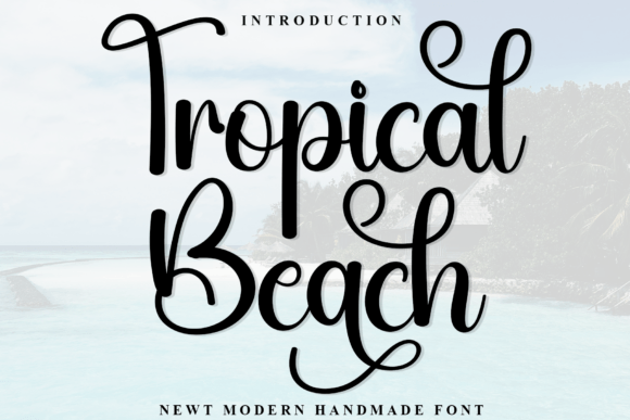 Tropical Beach Script Font Review